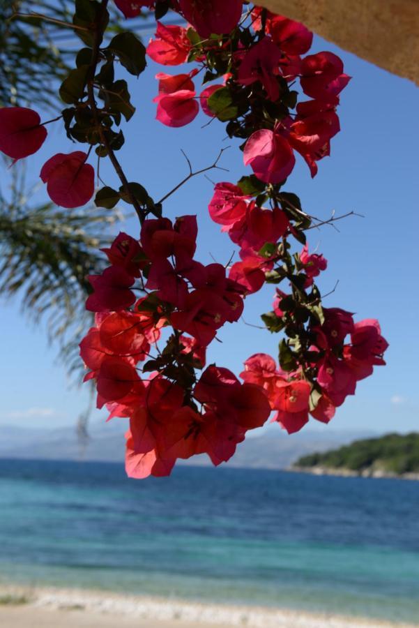 Villa Melanthi Kassiopi Corfu 外观 照片