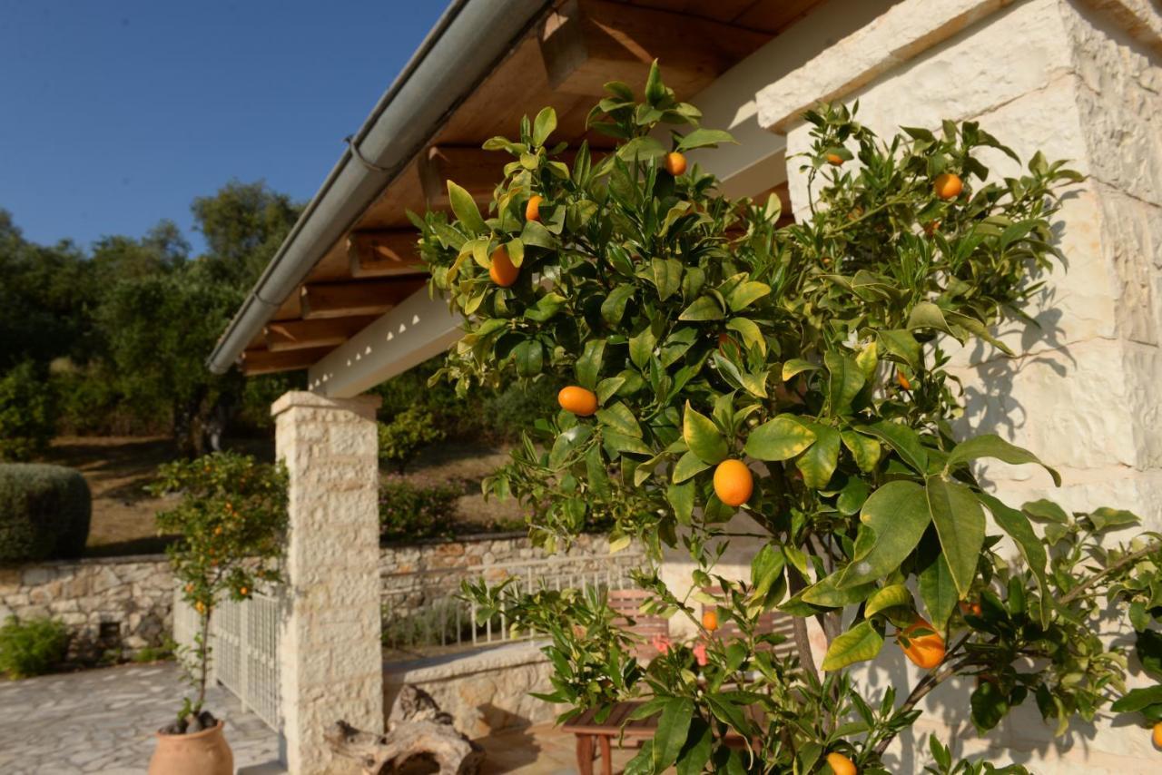 Villa Melanthi Kassiopi Corfu 外观 照片